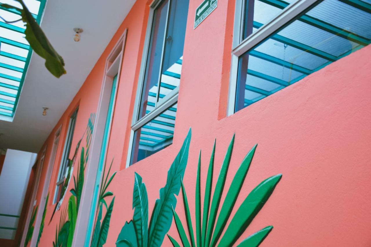 Flamingo Hostel & Coworking 圣玛尔塔 外观 照片