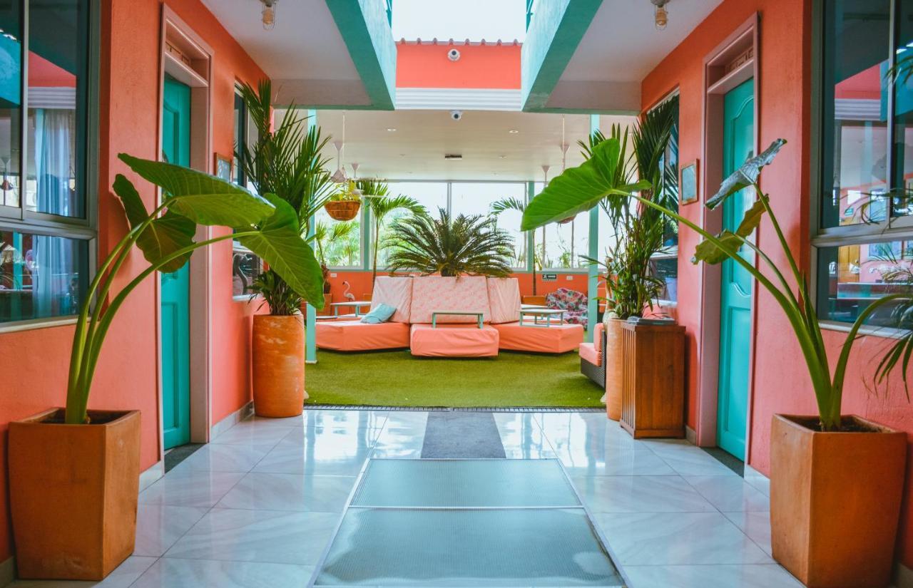 Flamingo Hostel & Coworking 圣玛尔塔 外观 照片