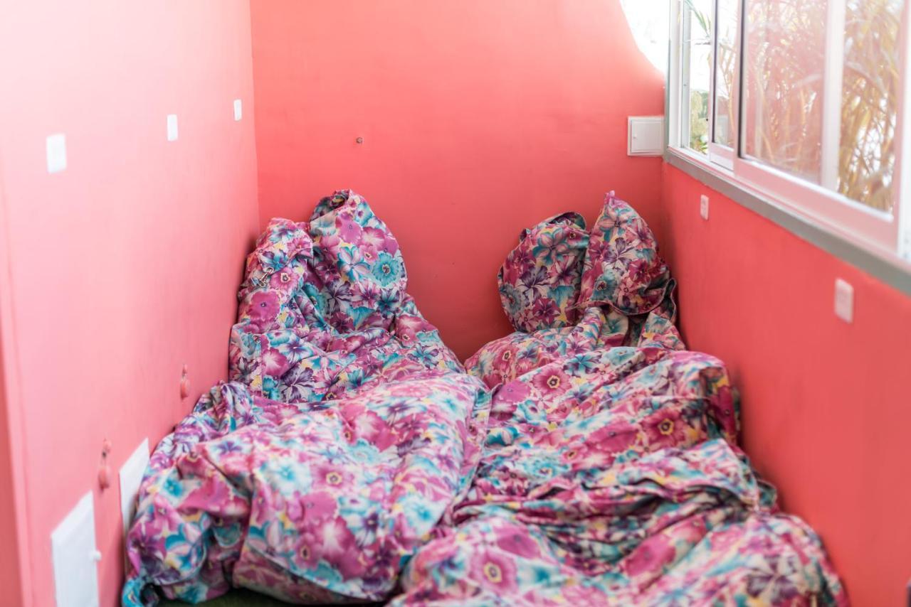 Flamingo Hostel & Coworking 圣玛尔塔 外观 照片