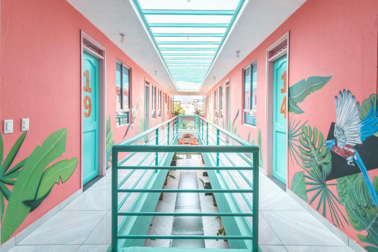 Flamingo Hostel & Coworking 圣玛尔塔 外观 照片