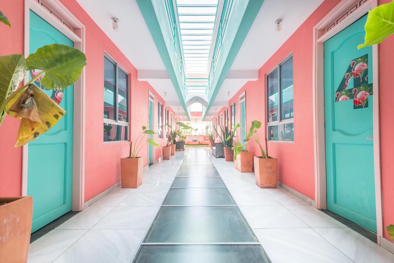 Flamingo Hostel & Coworking 圣玛尔塔 外观 照片
