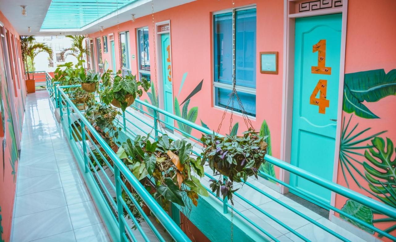 Flamingo Hostel & Coworking 圣玛尔塔 外观 照片