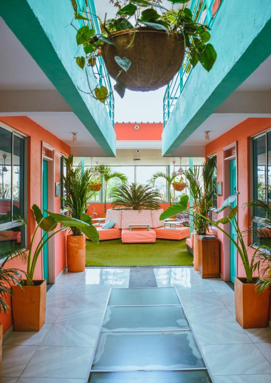 Flamingo Hostel & Coworking 圣玛尔塔 外观 照片