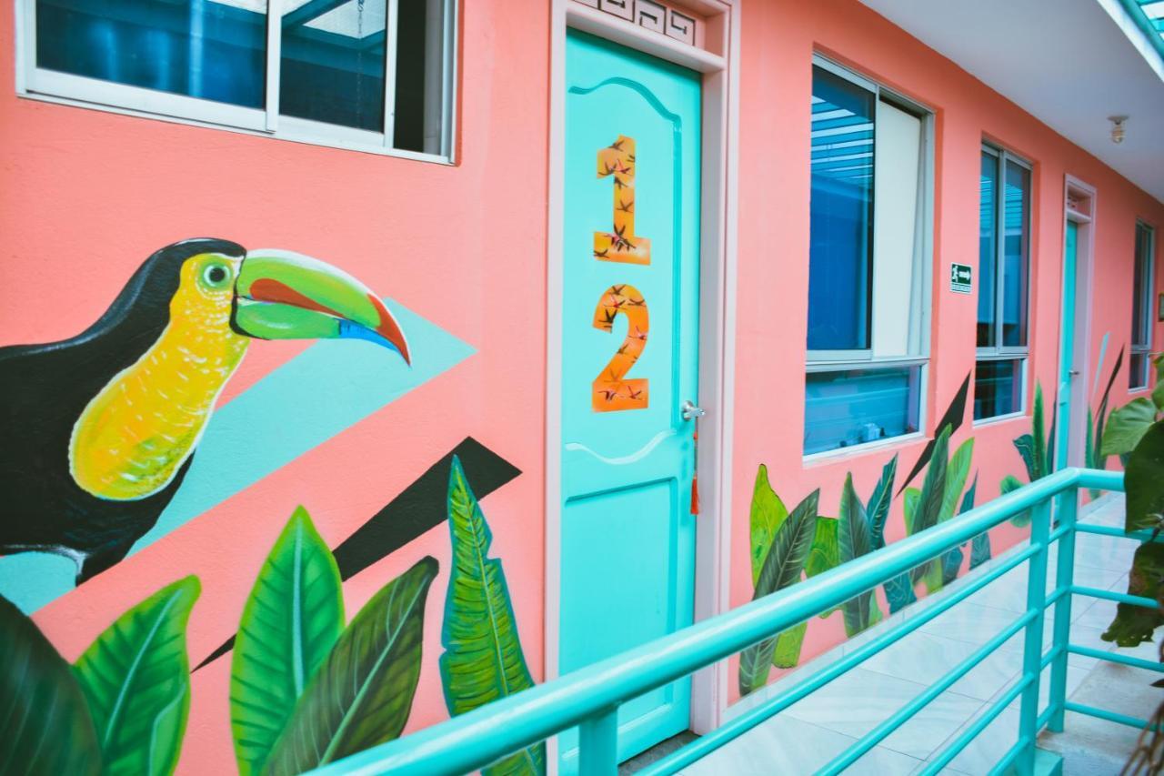 Flamingo Hostel & Coworking 圣玛尔塔 外观 照片