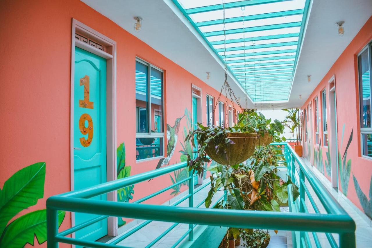 Flamingo Hostel & Coworking 圣玛尔塔 外观 照片