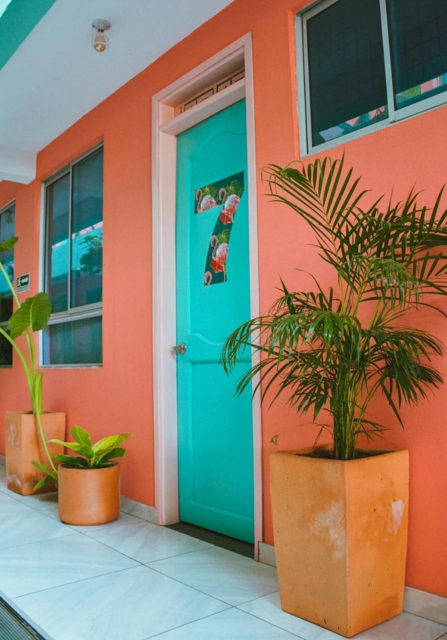 Flamingo Hostel & Coworking 圣玛尔塔 外观 照片