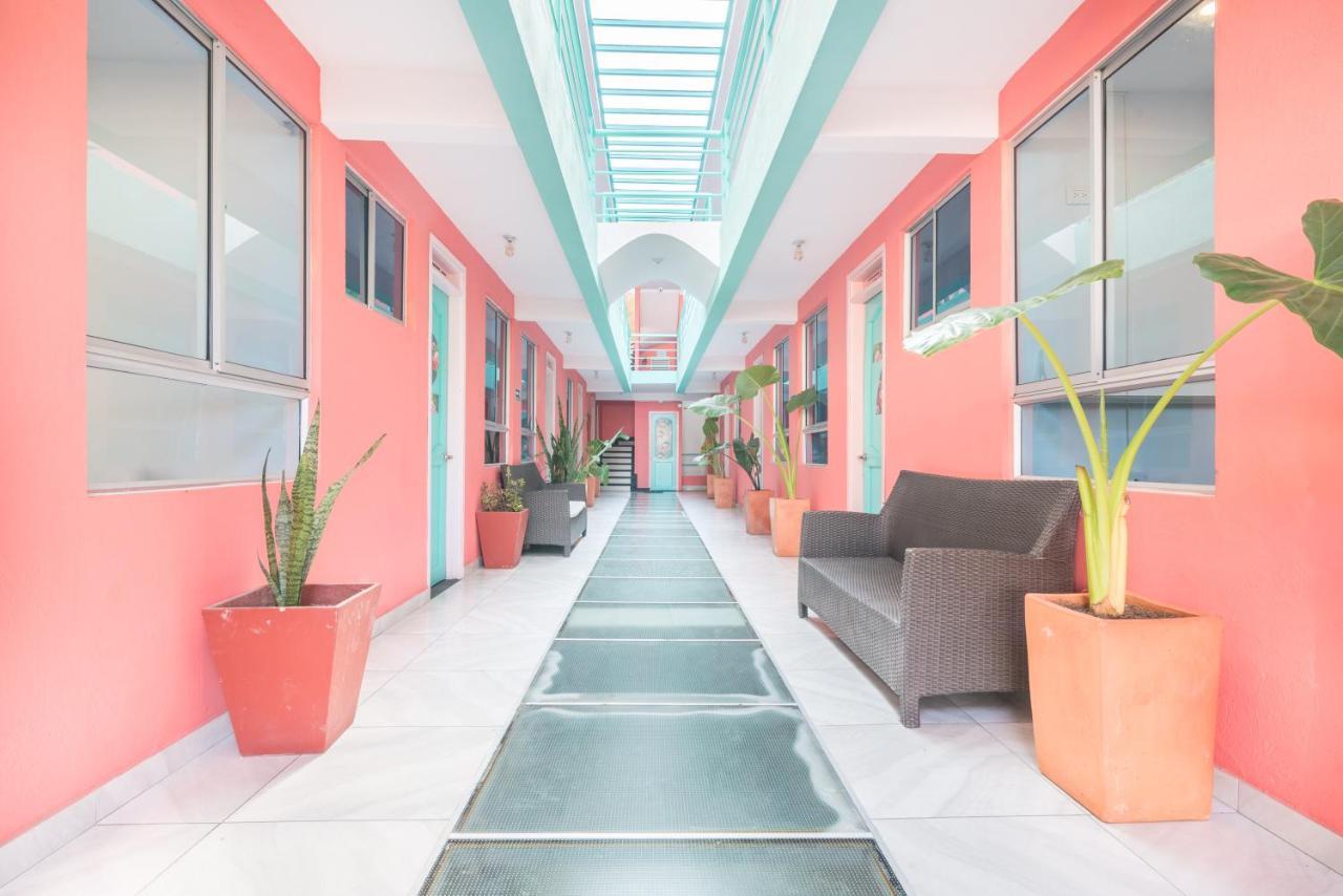 Flamingo Hostel & Coworking 圣玛尔塔 外观 照片