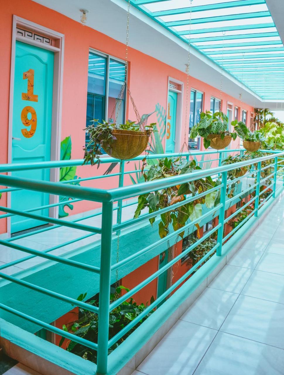Flamingo Hostel & Coworking 圣玛尔塔 外观 照片