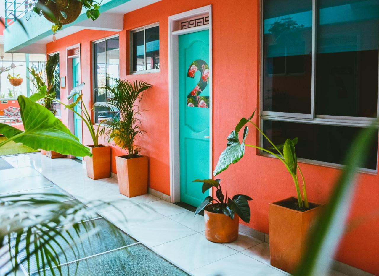 Flamingo Hostel & Coworking 圣玛尔塔 外观 照片