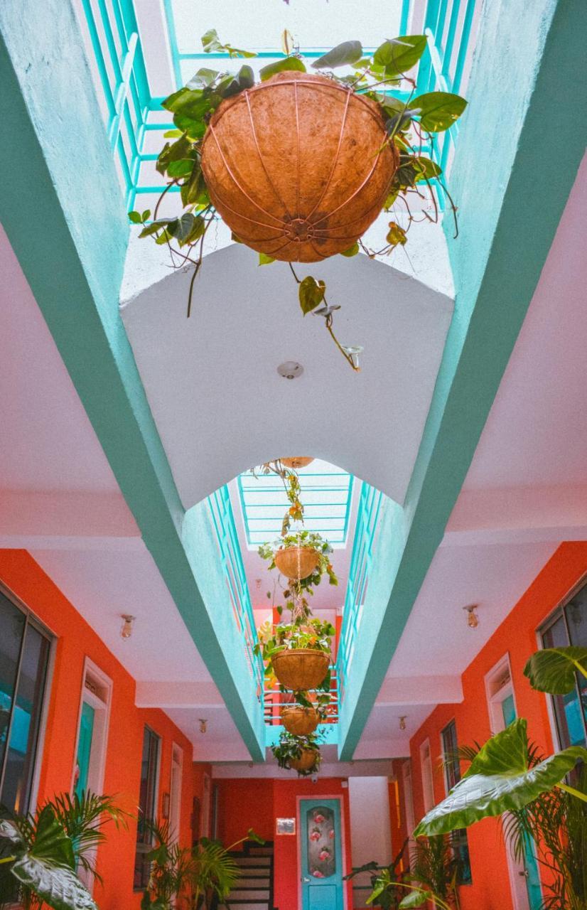 Flamingo Hostel & Coworking 圣玛尔塔 外观 照片