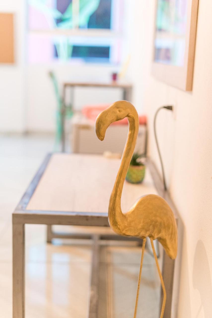 Flamingo Hostel & Coworking 圣玛尔塔 外观 照片