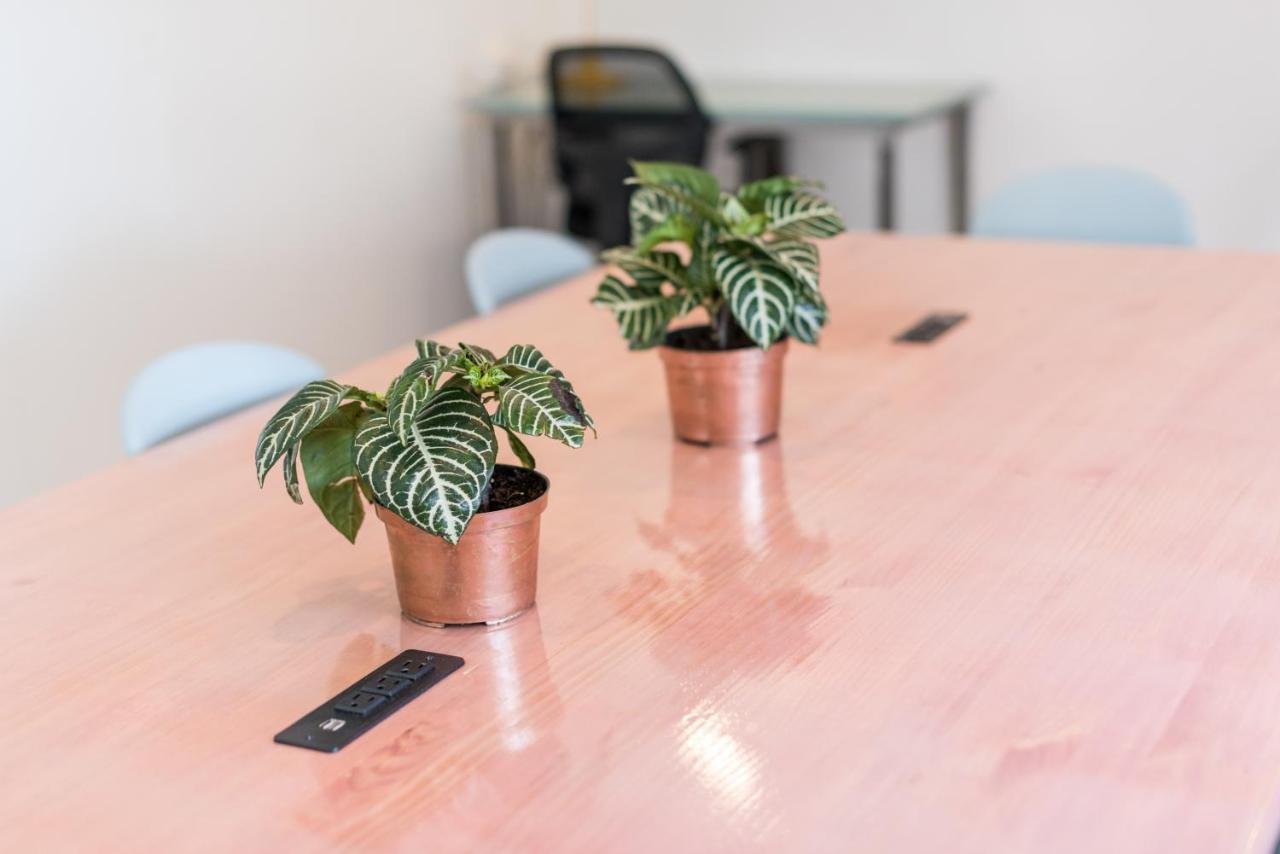 Flamingo Hostel & Coworking 圣玛尔塔 外观 照片