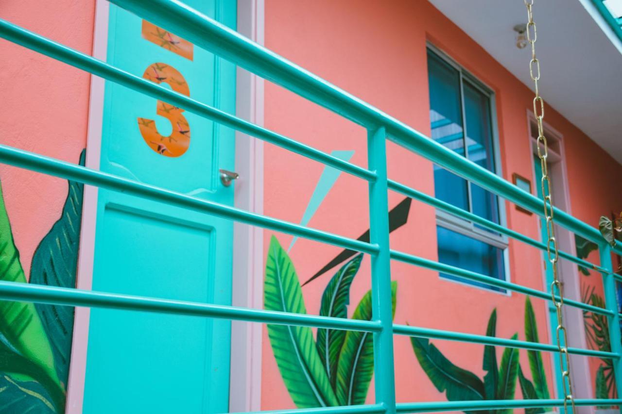 Flamingo Hostel & Coworking 圣玛尔塔 外观 照片