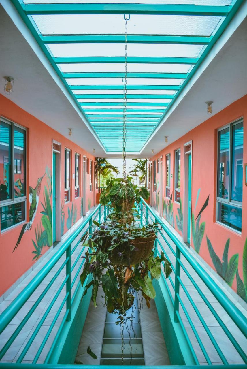 Flamingo Hostel & Coworking 圣玛尔塔 外观 照片