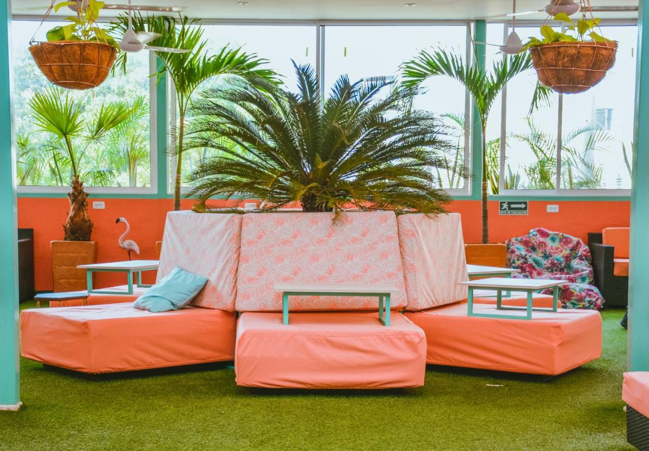 Flamingo Hostel & Coworking 圣玛尔塔 外观 照片