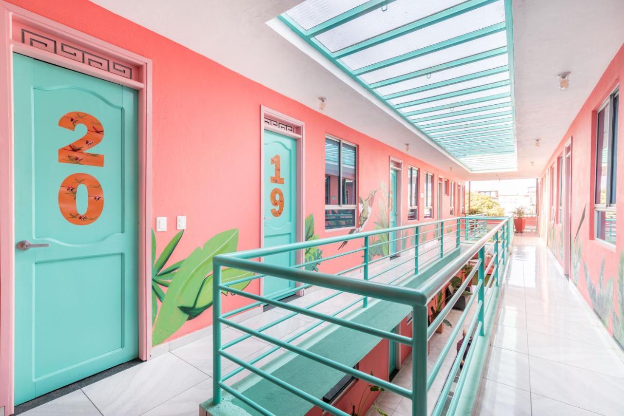 Flamingo Hostel & Coworking 圣玛尔塔 外观 照片