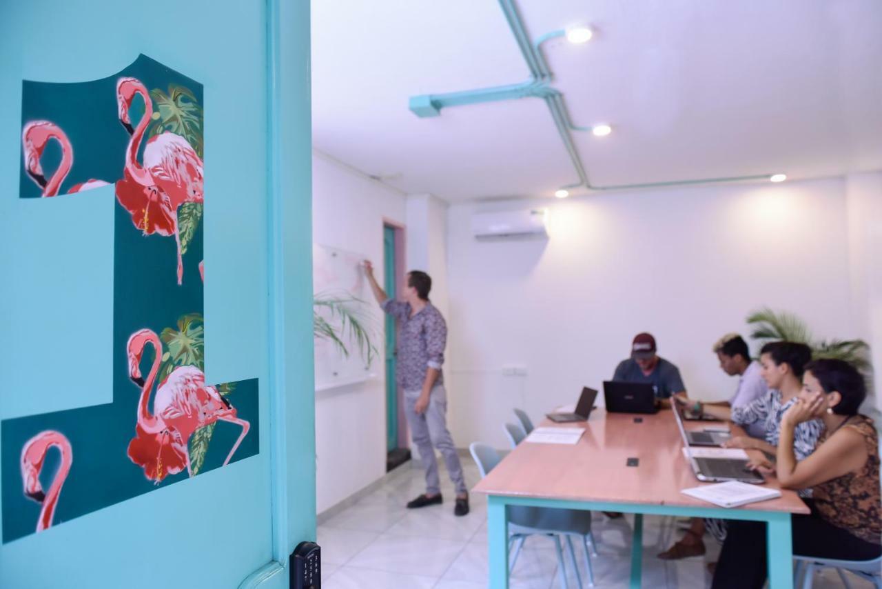 Flamingo Hostel & Coworking 圣玛尔塔 外观 照片