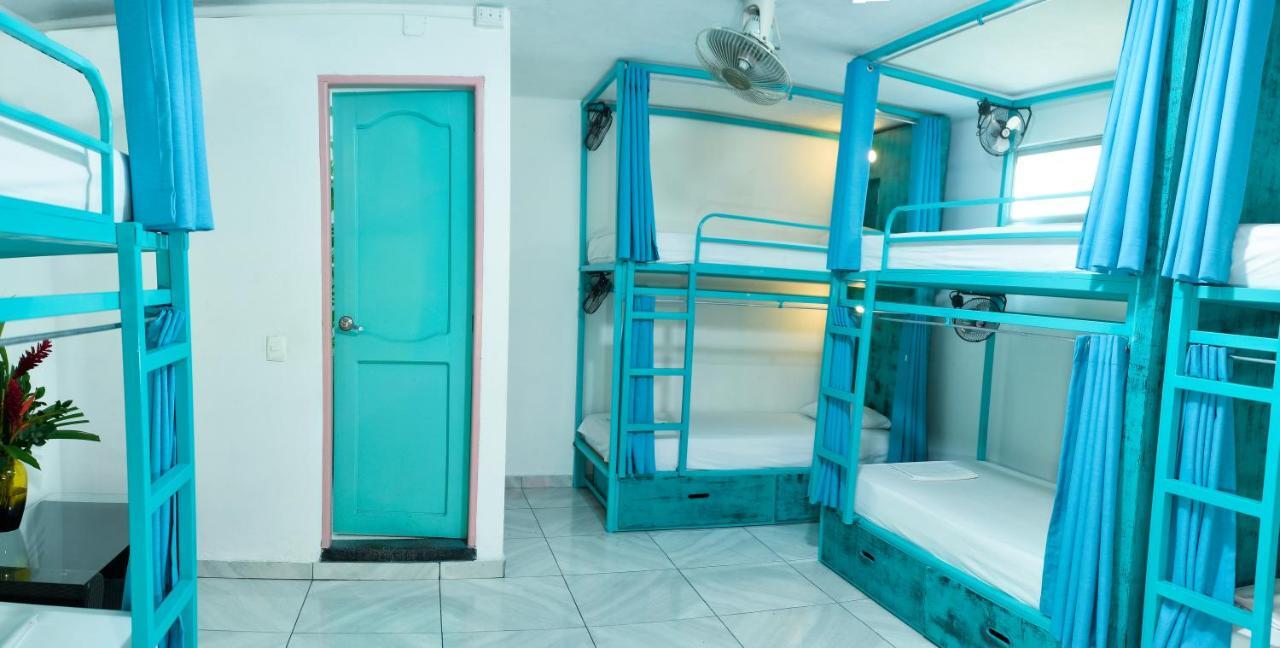 Flamingo Hostel & Coworking 圣玛尔塔 外观 照片
